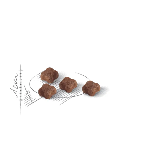 Royal Canin Mother and BabyCat SOL - Foto 1 | AlanDog