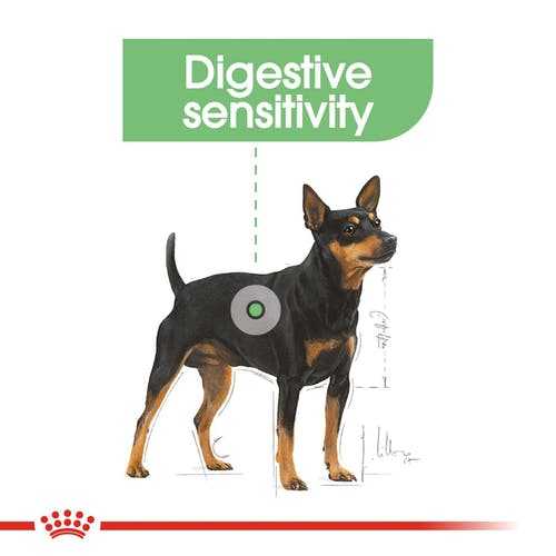 mini-digestive-royal-canin-cane Royal Canin CCN Mini Digestive Care - Foto 1 | AlanDog
