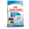 Royal Canin Giant Starter | AlanDog