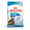 Royal Canin Maxi Starter | AlanDog