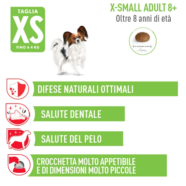 royal-canin-x-small-8-extra Royal Canin X-Small Adult 8+ - Foto 2 | AlanDog