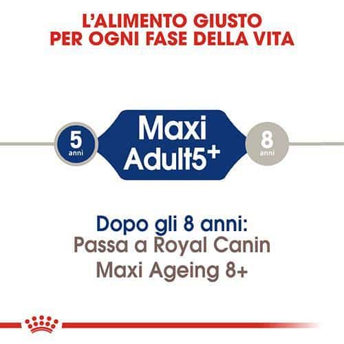 Royal Canin SHN Maxi Adult 5+