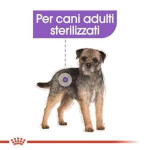 Royal Canin CCN WET Sterilised Bustine Cane - Foto 1 | AlanDog