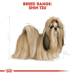 Shih_Tzu