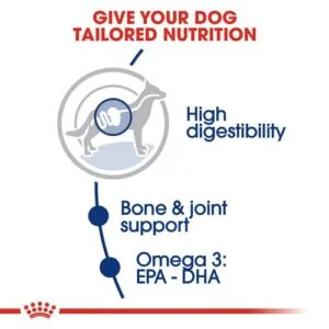 adult-secco-maxi-royal-canin