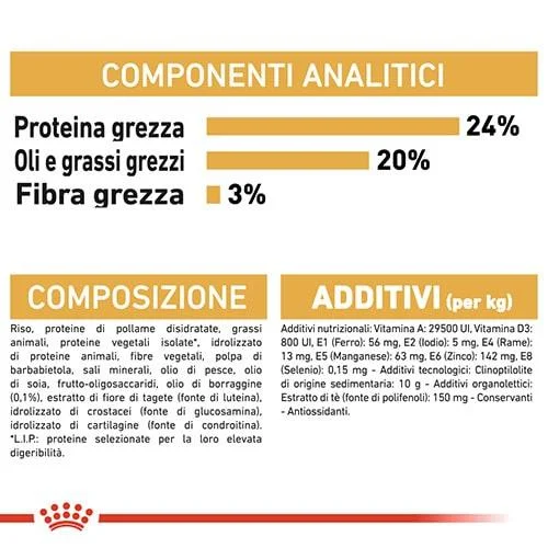 Royal Canin BHN Shih Tzu - Foto 1 | AlanDog