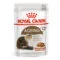 Royal Canin FHN Ageing 12+ Buste Gatto | AlanDog