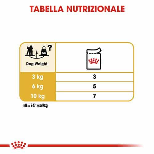 barboncino Royal Canin BHN Bustine Poodle - Foto 4 | AlanDog