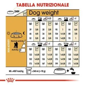 Royal Canin BHN Poodle - Foto 1 | AlanDog
