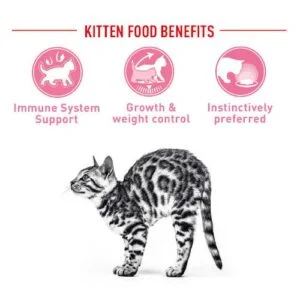 Royal Canin Sterilised Kitten Bustine SOL - Foto 1 | AlanDog