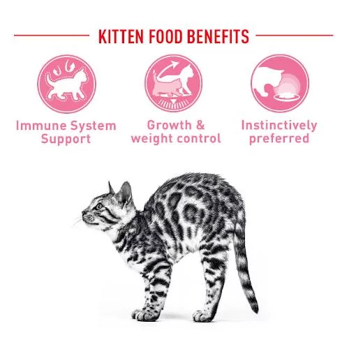 base-royal-canin-sterilised-kitten Royal Canin Sterilised Kitten Bustine SOL - Foto 1 | AlanDog