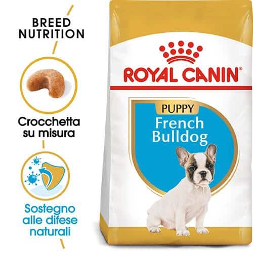 bulldog francese cucciolo Royal Canin BHN French Bulldog Puppy - Foto 5 | AlanDog