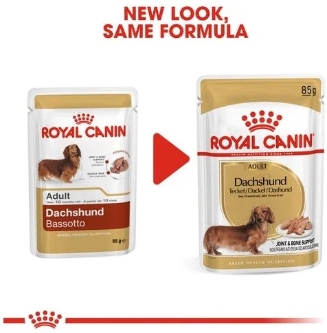 cane-bassotto-breed-adult-in-busta-royal-canin