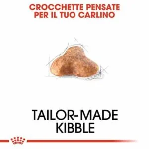Royal Canin BHN Carlino - Foto 1 | AlanDog