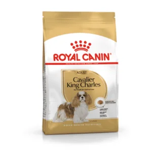 cavalier_king_sacco