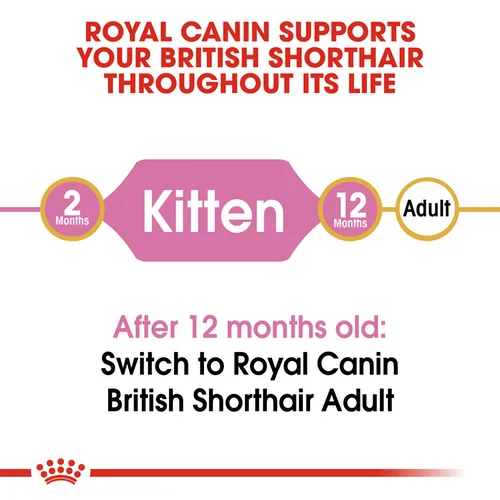 Royal Canin FBN Kitten British Shorthair - Foto 5 | AlanDog