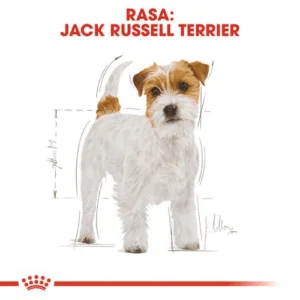 Royal Canin BHN Jack Russell 2 jack_russel