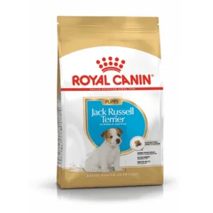 jack_russell_sacco