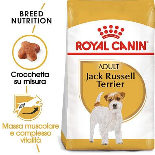 jack russell terrier Royal Canin BHN Jack Russell - Foto 5 | AlanDog