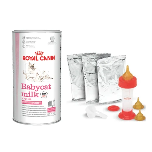kit-latte-per-gattini