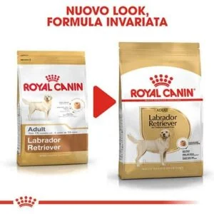 Royal Canin BHN Labrador Adult cibo per cani di razza - Foto 1 | AlanDog