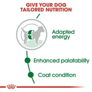 mini_adult_royal_canin