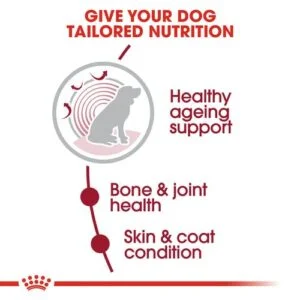 royal-canin-ageingmedium10