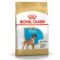 Royal Canin BHN Boxer Puppy | AlanDog