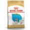 Royal Canin BHN French Bulldog Puppy | AlanDog