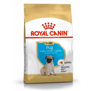 Royal Canin BHN Carlino Puppy | AlanDog
