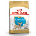 Royal Canin BHN Chihuahua Puppy