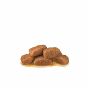 Royal Canin VHN Gastro Intestinal Moderate Calorie Buste Gatto - Foto 1 | AlanDog
