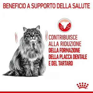 Royal Canin FCN Gatto Dental Care - Foto 4 | AlanDog