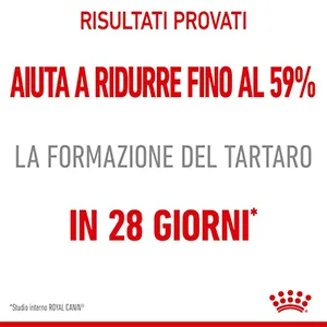 Royal Canin FCN Gatto Dental Care - Foto 5 | AlanDog