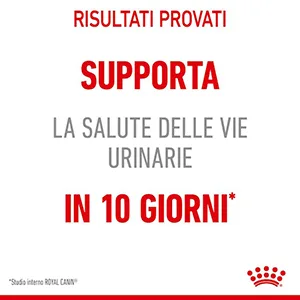 Royal Canin FCN WET Gatto Urinary Care - Foto 6 | AlanDog
