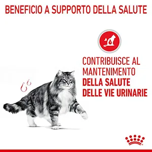 Royal Canin FCN WET Gatto Urinary Care - Foto 5 | AlanDog
