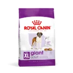 Royal Canin SHN Giant Adult cibo secco cani