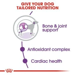 royal-canin-giant-adult