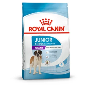 Royal Canin Giant Junior crocchette cucciolo | AlanDog
