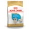 Royal Canin BHN Golden Retriever Puppy | AlanDog