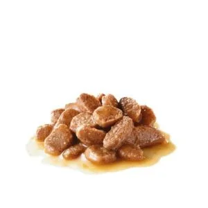 Royal Canin FCN WET Care Gatto Hair and Skin Bustine Umido - Foto 1 | AlanDog