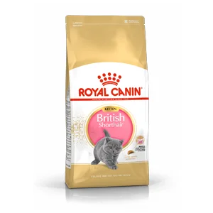 Royal Canin FBN Kitten British Shorthair | AlanDog