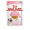 Royal Canin Kitten Instinctive SOL | AlanDog