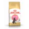 Royal Canin FBN Kitten Maine Coon | AlanDog