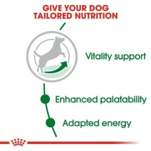 Royal Canin SHN Mini Adult 8+ 3 royal-canin-mini-adult