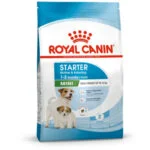 Royal Canin Mini Starter Mother and BabyDog