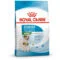 Royal Canin Mini Starter Mother and BabyDog | AlanDog