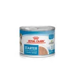 Royal Canin Starter Mousse