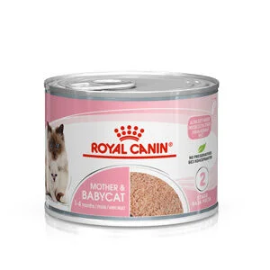 Royal Canin BabyCat SOL | AlanDog