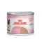 Royal Canin BabyCat SOL | AlanDog